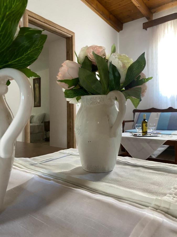 Apartment Mama'sevdokia *
